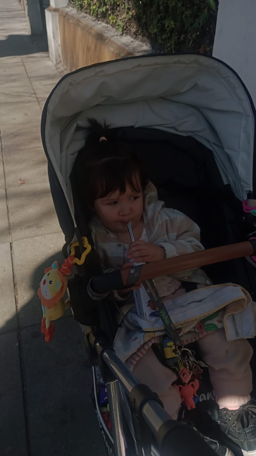 WhatsApp Image 2025-08-28 at 11.31.42.jpeg